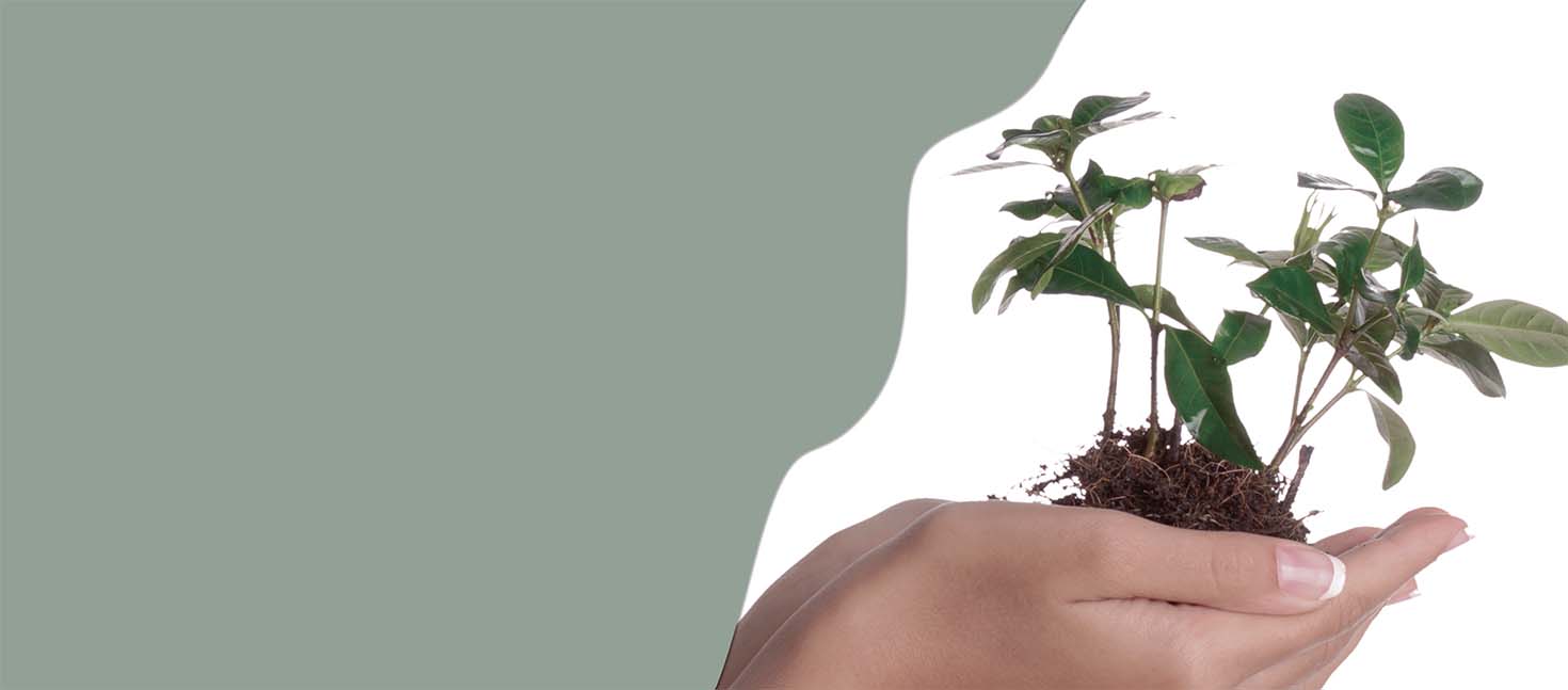 FSC certificerede egetræsmøbler